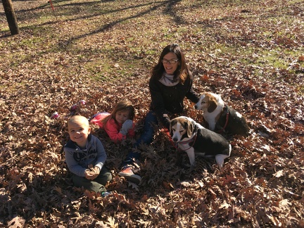 Leaf Pile5